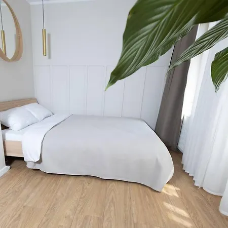 Design & Relax #altstadt #sauna Apartamento Wittenberg